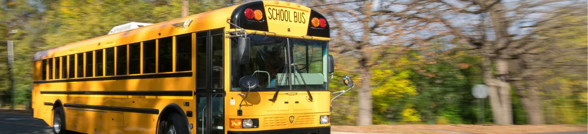 International Bus